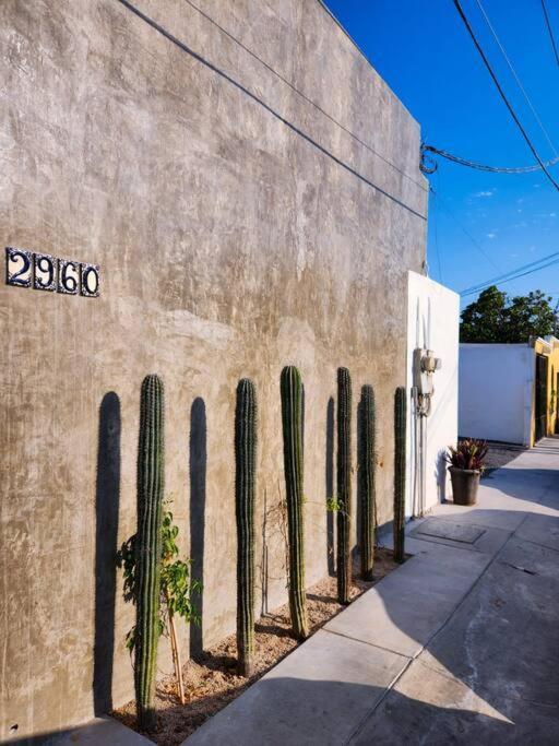 拉巴斯Departamento Con Terraza公寓 外观 照片